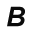 BORG (Berger-Organizer)
