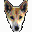 K9