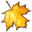 MapleXP Express