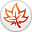 MindMaple Lite