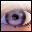 Nodesoft Folder Monitor
