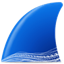 Wireshark